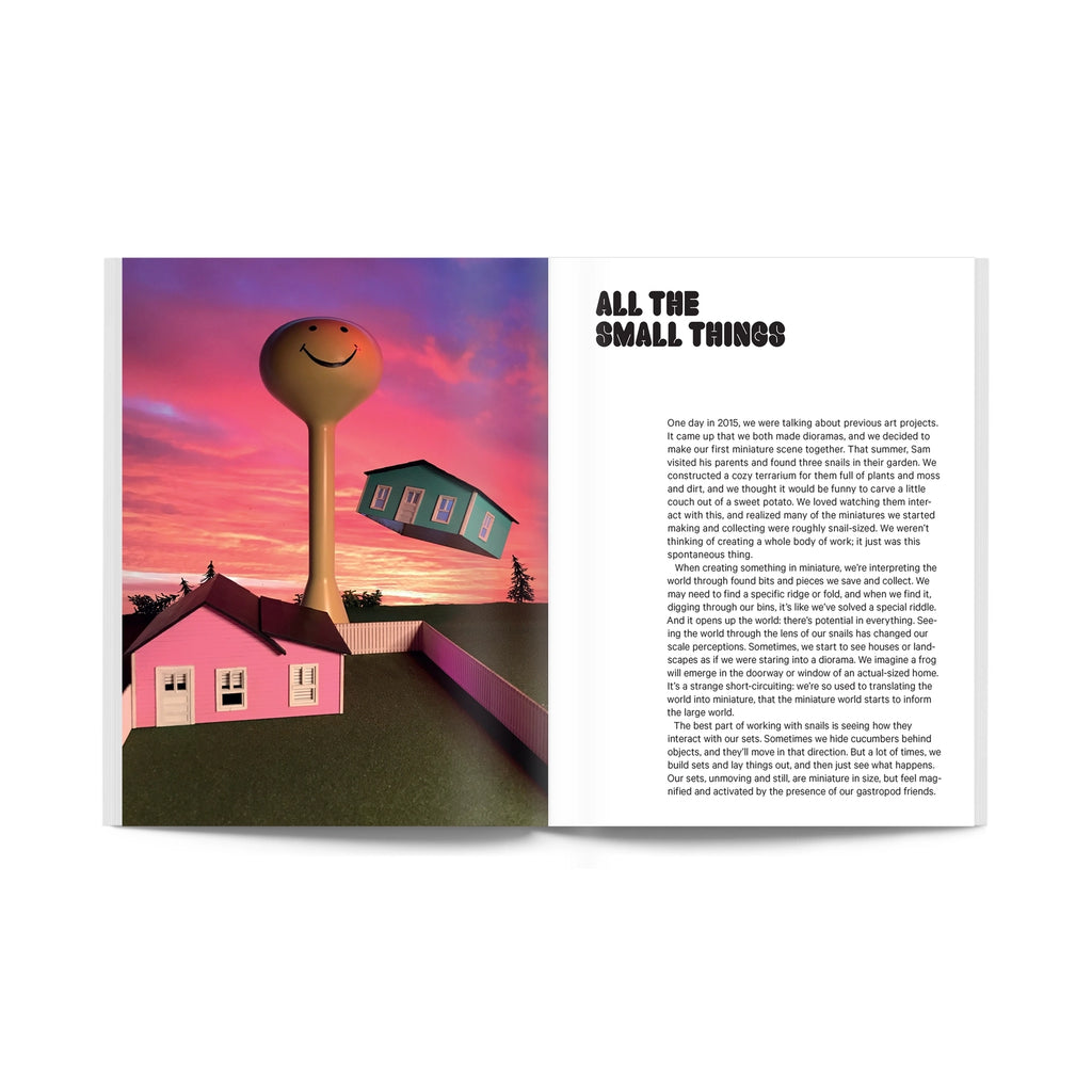 Snail World - Life in the Slimelight Book by Aleia Murawski & Sam Copeland Snail World - Life in the Slimelight Book by Aleia Murawski & Sam Copeland