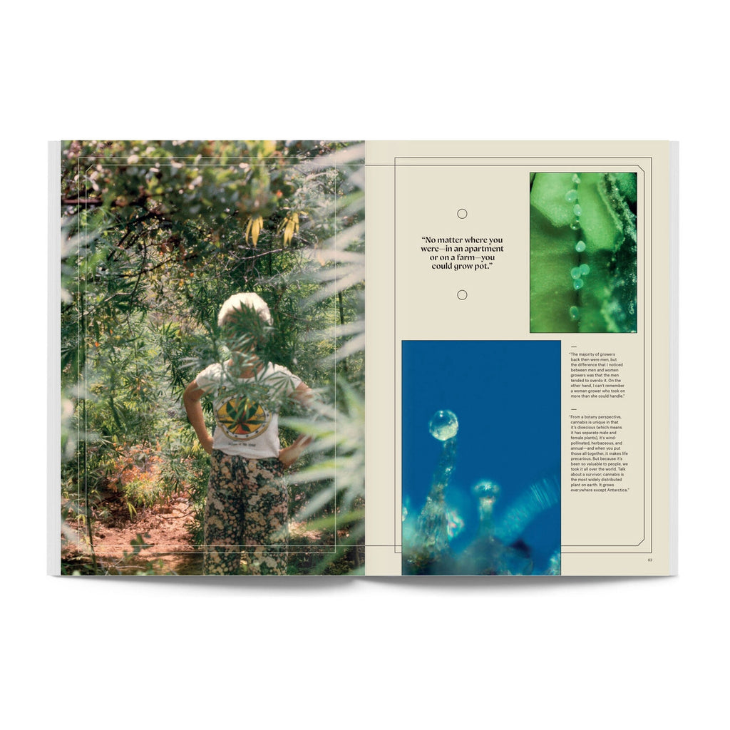 Broccoli Mag - Issue 8 Broccoli Mag - Issue 8