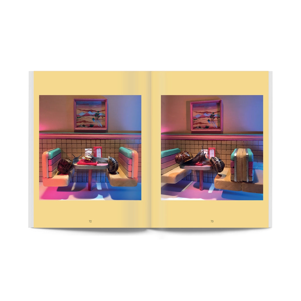 Snail World - Life in the Slimelight Book by Aleia Murawski & Sam Copeland Snail World - Life in the Slimelight Book by Aleia Murawski & Sam Copeland