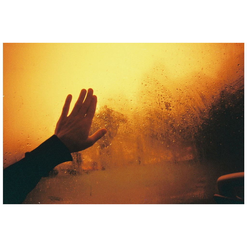 Lomo Redscale XR 35 mm ISO 50–200 – Pack of 3 Lomo Redscale XR 35 mm ISO 50–200 – Pack of 3