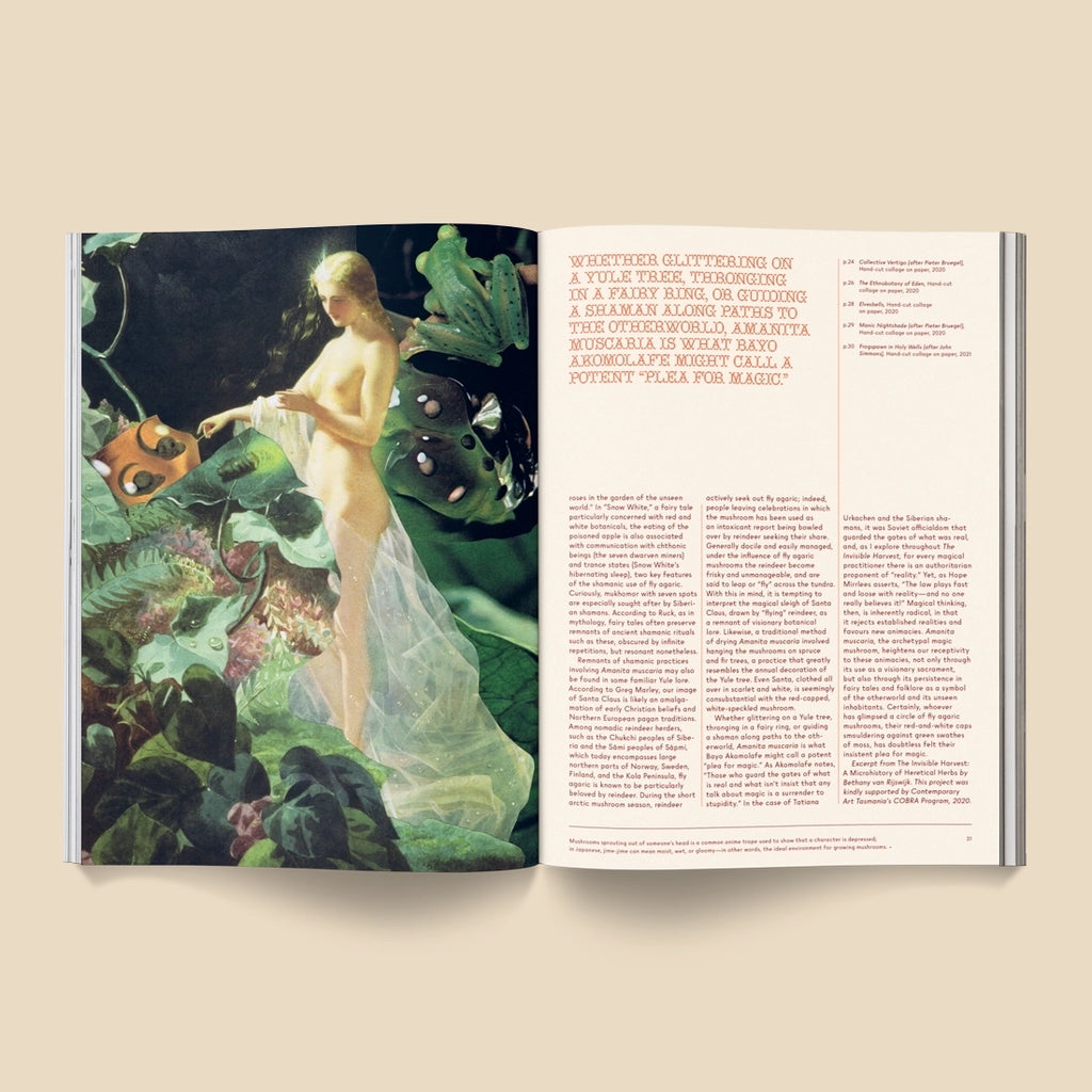 Mushroom People:  A Magazine for Mycophiles Mushroom People:  A Magazine for Mycophiles
