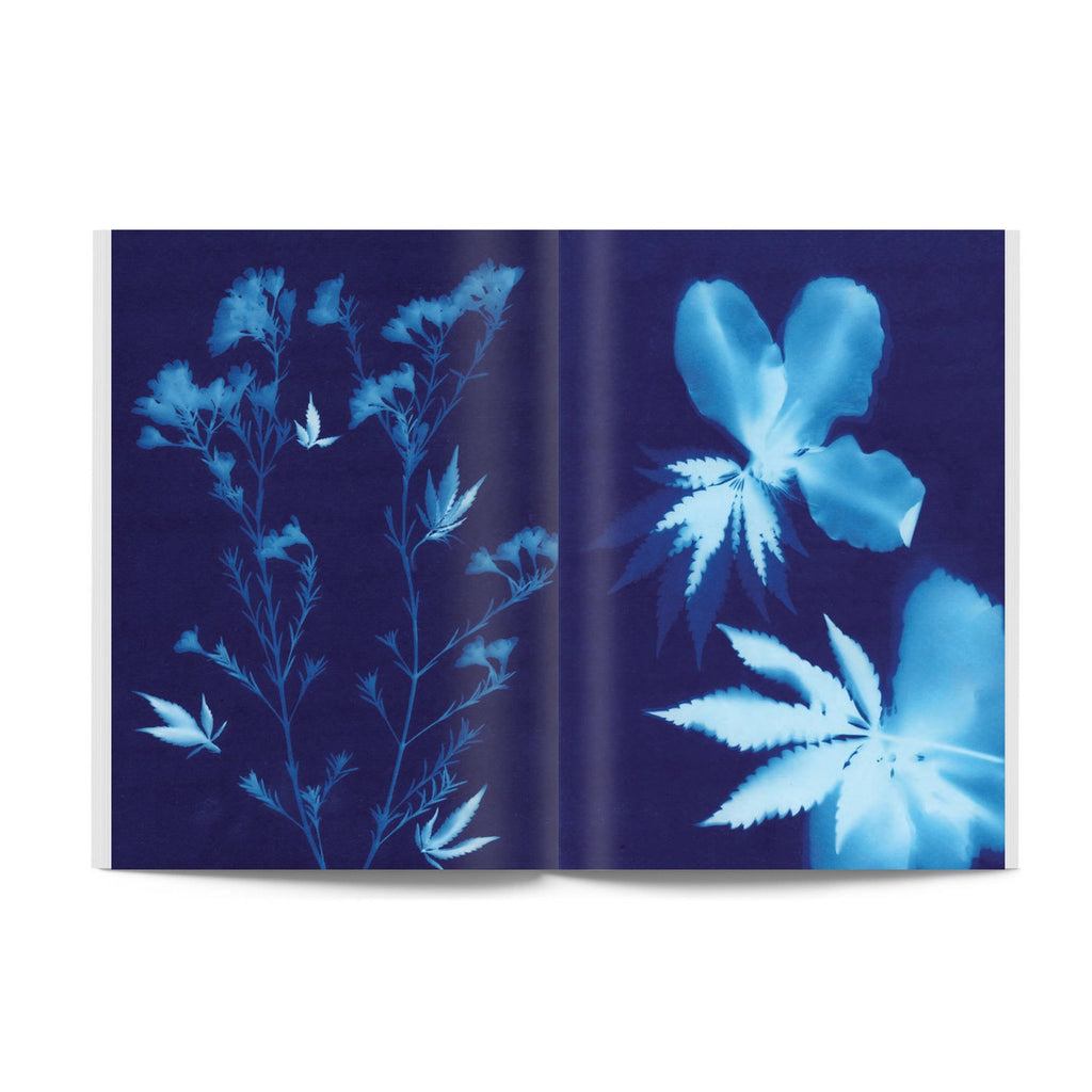 Broccoli Mag - Issue 3 Broccoli Mag - Issue 3