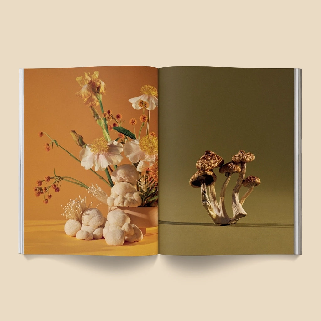 Mushroom People:  A Magazine for Mycophiles Mushroom People:  A Magazine for Mycophiles