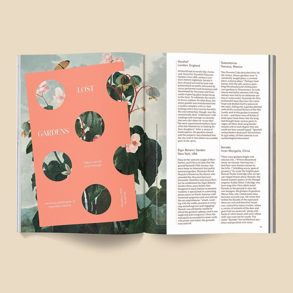 Broccoli Mag - Issue 17 Broccoli Mag - Issue 17