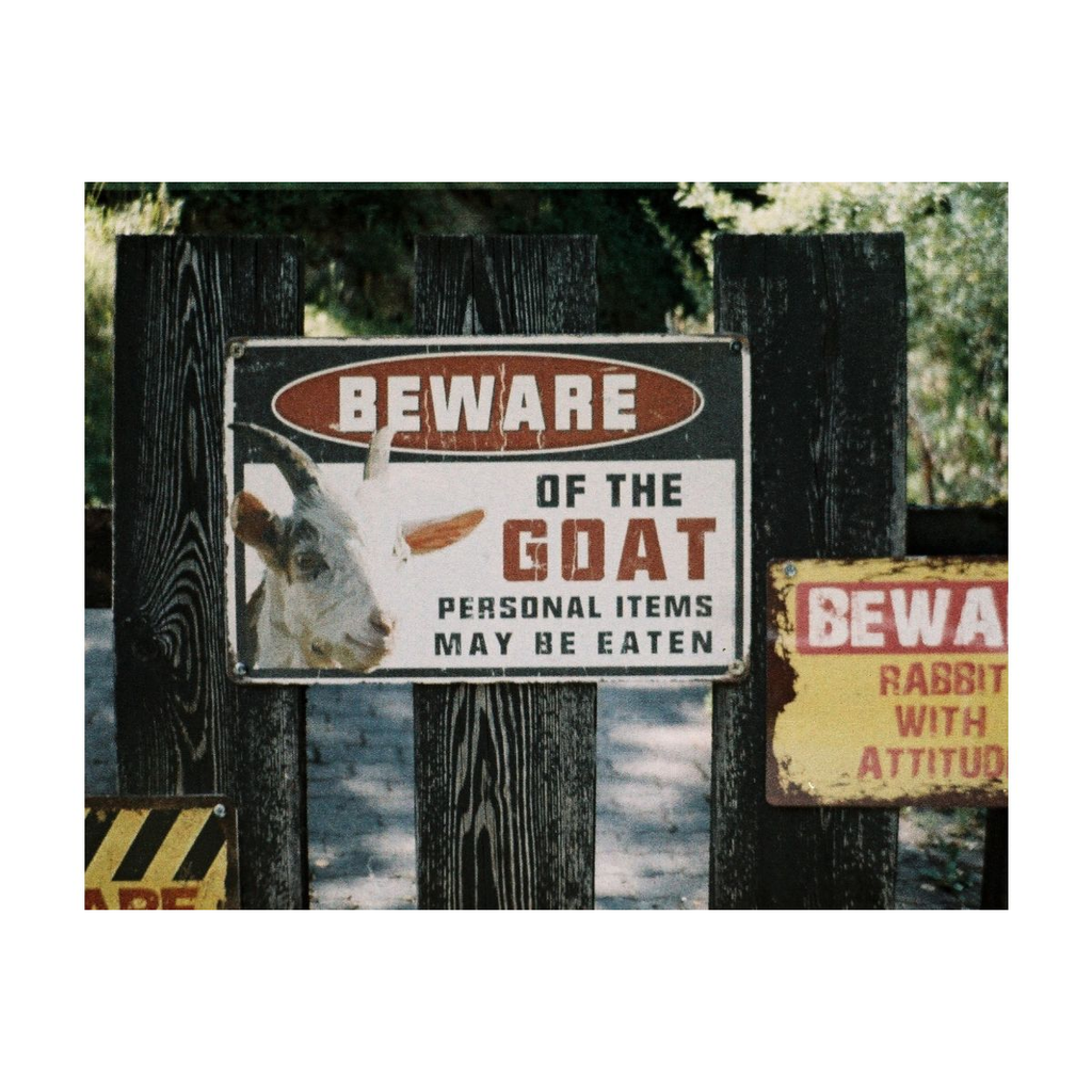 Lomo Chrome Color ’92 Sun-kissed 110 ISO400 - Pack of 3 Lomo Chrome Color ’92 Sun-kissed 110 ISO400 - Pack of 3