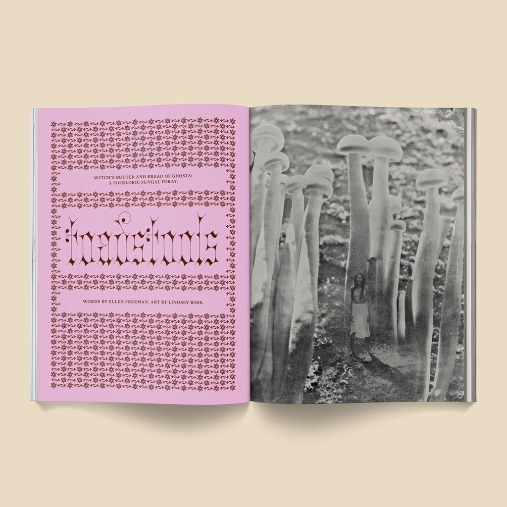 Mushroom People:  A Magazine for Mycophiles Mushroom People:  A Magazine for Mycophiles