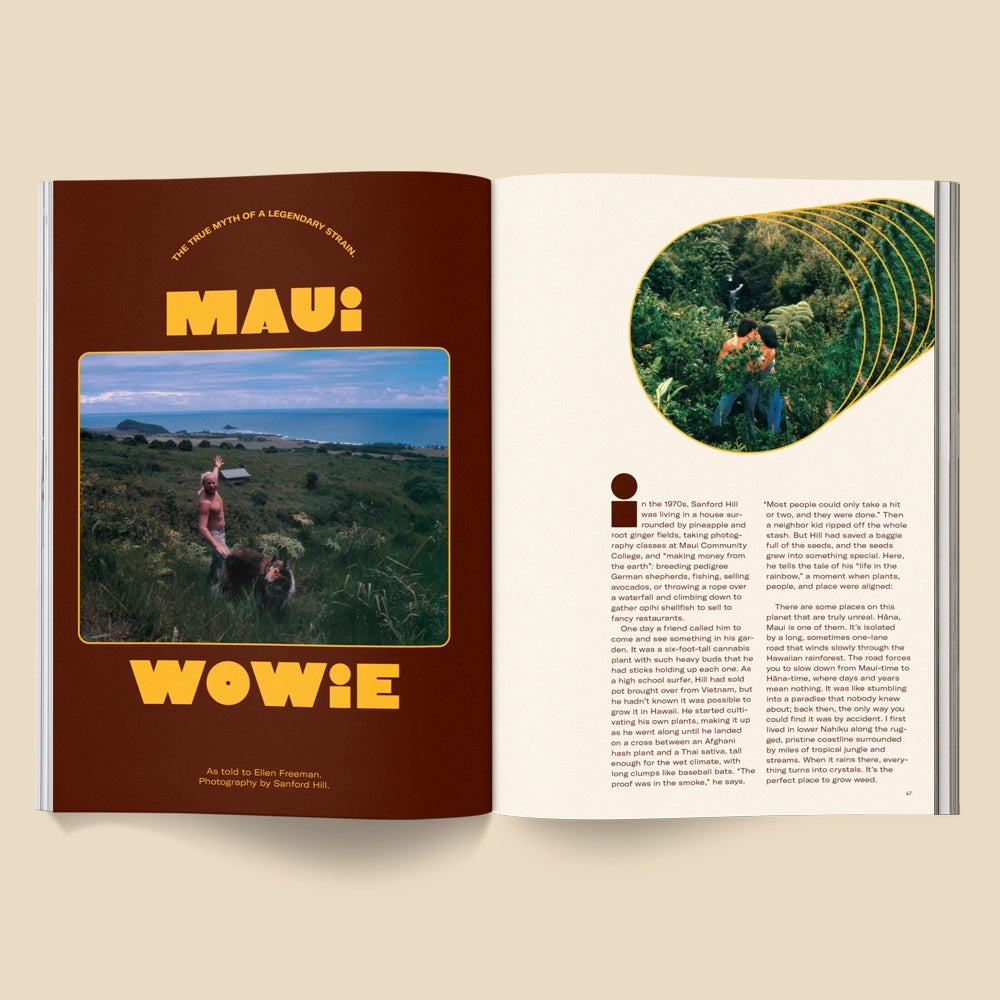 Broccoli Mag - Issue 15 Broccoli Mag - Issue 15