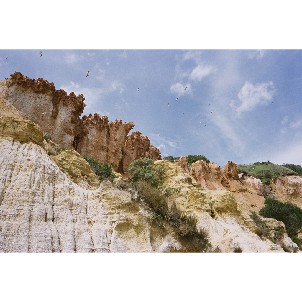 Fujifilm Eterna 250T 35mm 36exp Rare Stock (2013) Fujifilm Eterna 250T 35mm 36exp Rare Stock (2013)