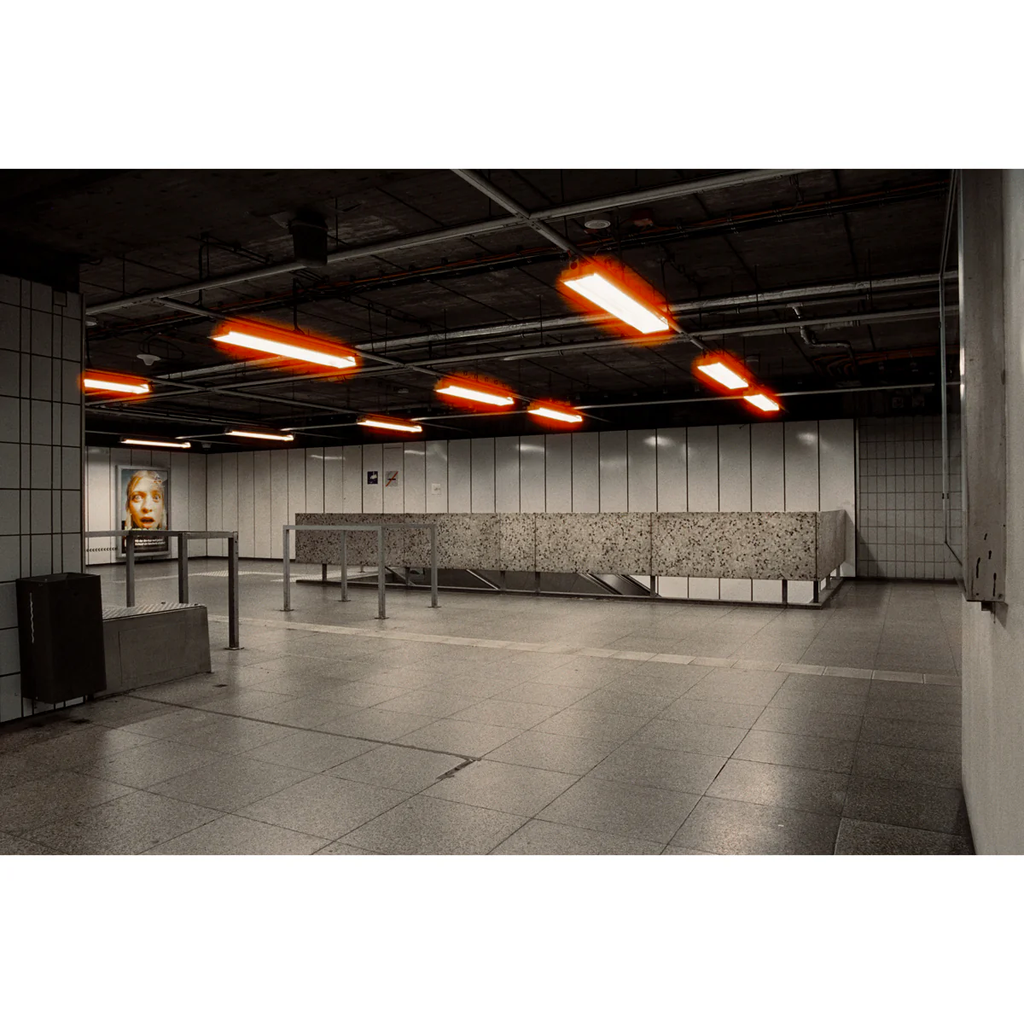 Mr. Negative 700S ISO 800 35mm 36 exp Mr. Negative 700S ISO 800 35mm 36 exp