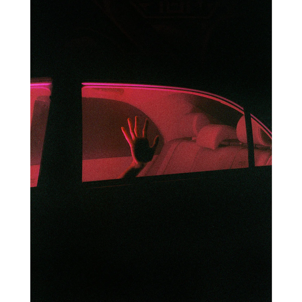 Mr. Negative 700S ISO 800 35mm 36 exp Mr. Negative 700S ISO 800 35mm 36 exp