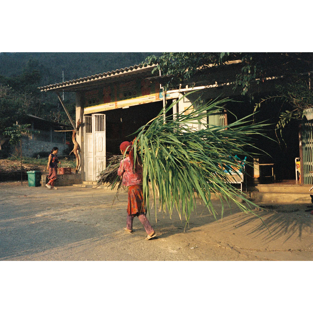 FILM: Mr. Negative Rare Stock V2 250D 35mm 36exp FILM: Mr. Negative Rare Stock V2 250D 35mm 36exp