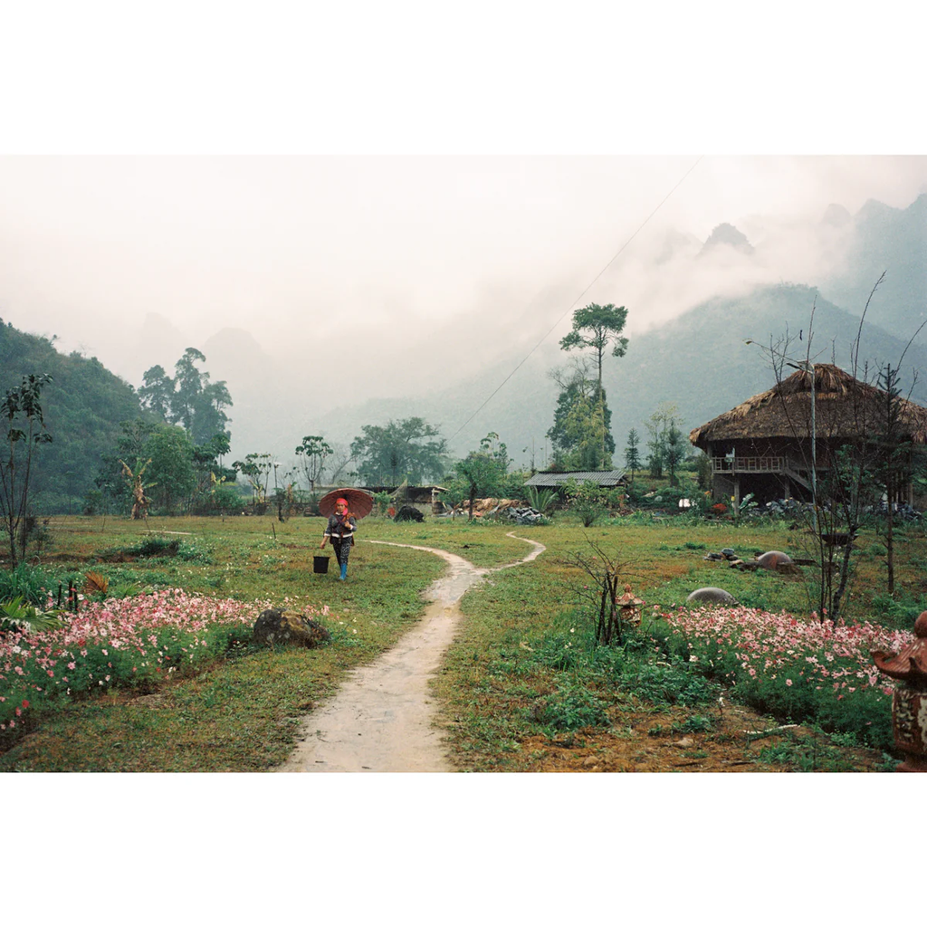 FILM: Mr. Negative Rare Stock V2 250D 35mm 36exp FILM: Mr. Negative Rare Stock V2 250D 35mm 36exp