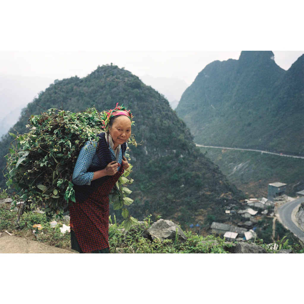 FILM: Mr. Negative Rare Stock V2 250D 35mm 36exp FILM: Mr. Negative Rare Stock V2 250D 35mm 36exp