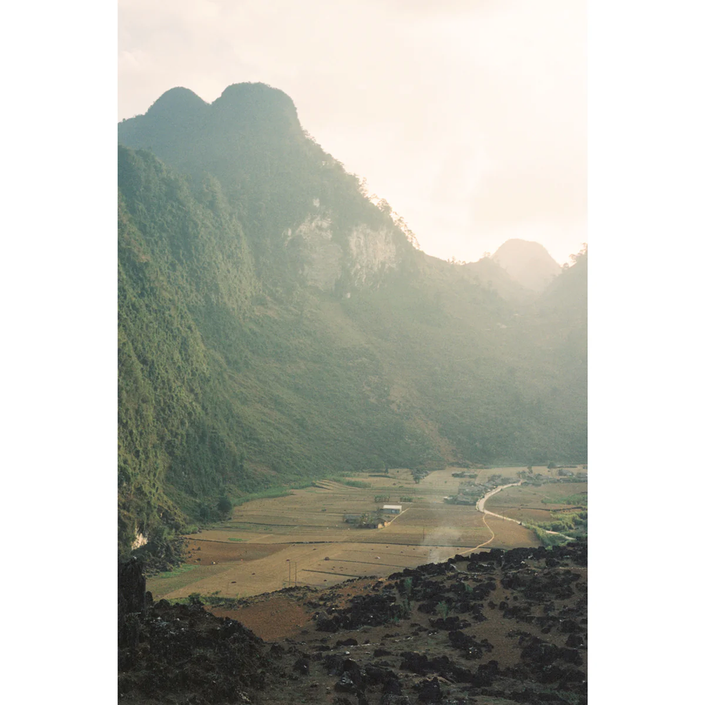 FILM: Mr. Negative Rare Stock V2 250D 35mm 36exp FILM: Mr. Negative Rare Stock V2 250D 35mm 36exp