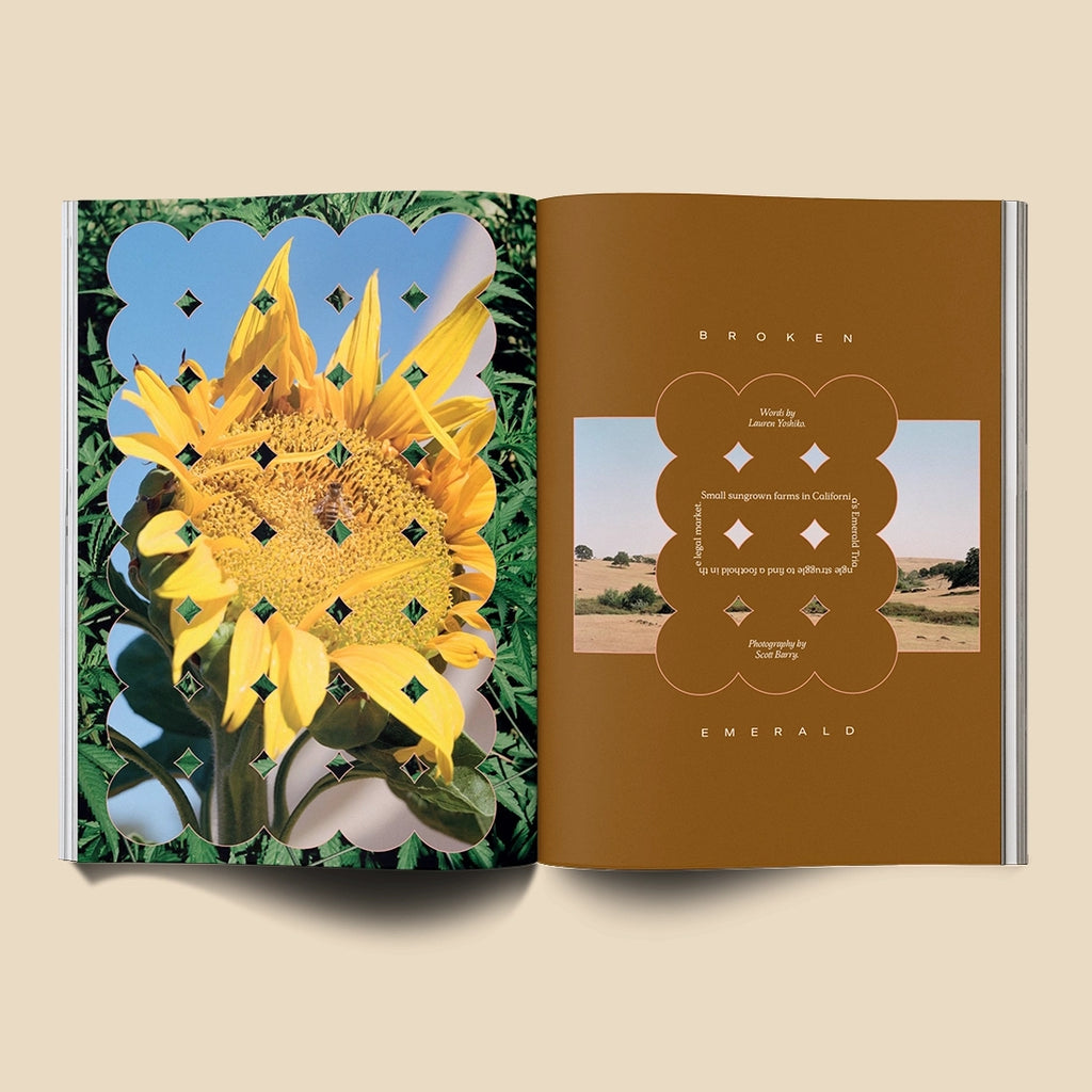 Broccoli Mag - Issue 17 Broccoli Mag - Issue 17