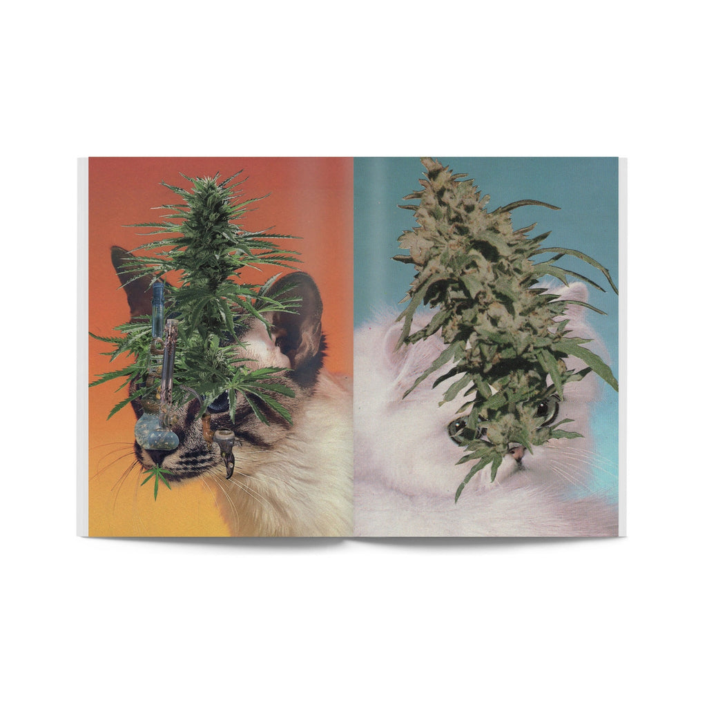 Broccoli Mag - Issue 2 Broccoli Mag - Issue 2