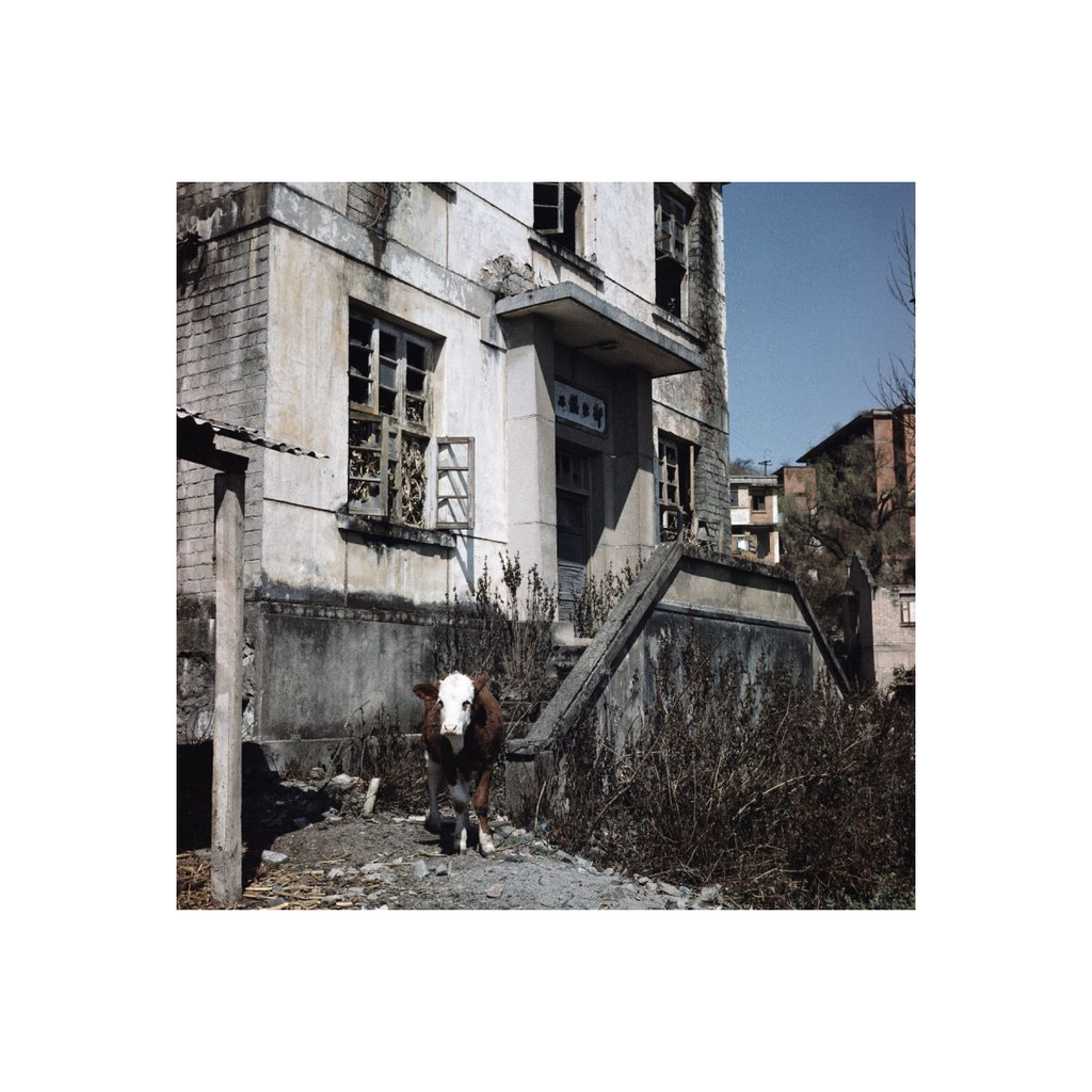 2021 LomoChrome Metropolis 120 ISO100–400 2021 LomoChrome Metropolis 120 ISO100–400