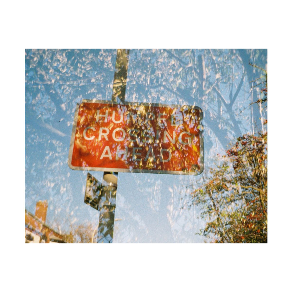 Lomomatic 110 Camera & Flash - Golden Gate Lomomatic 110 Camera & Flash - Golden Gate