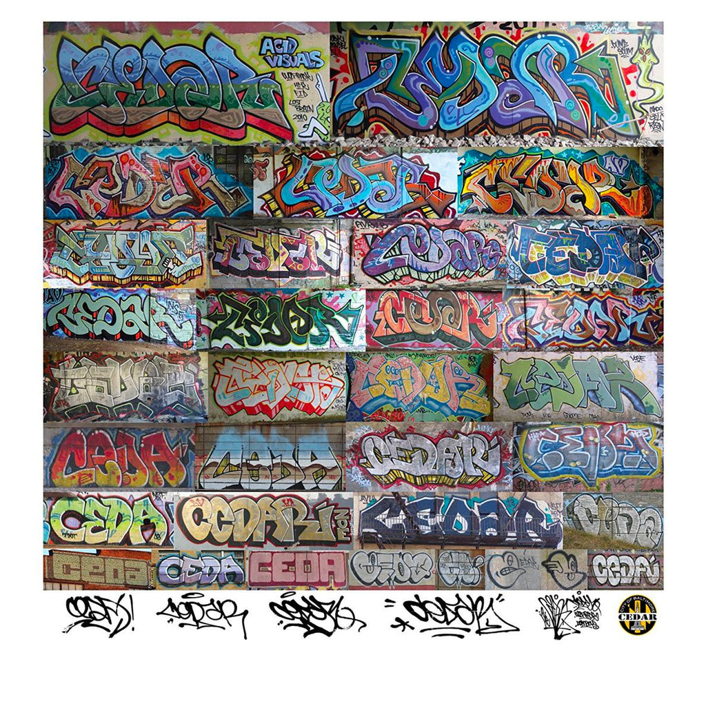 Baltimore Graffiti Baltimore Graffiti