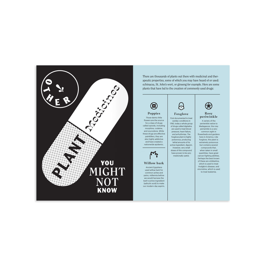 Merry Jane's The CBD Solution: Wellness Merry Jane's The CBD Solution: Wellness