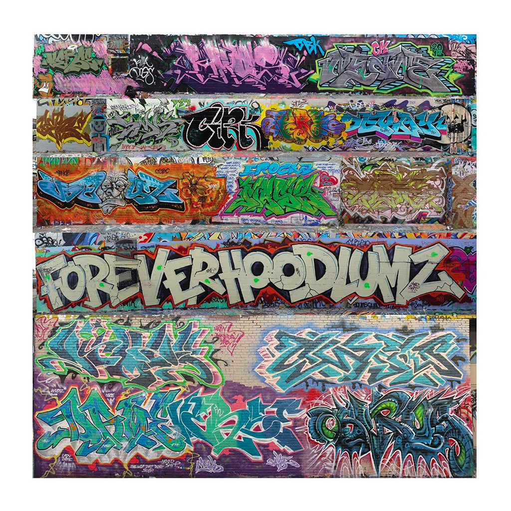 Baltimore Graffiti Baltimore Graffiti