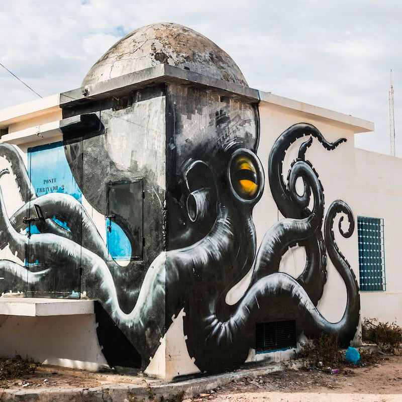 Djerbahood - Open Air Museum of Street Art Djerbahood - Open Air Museum of Street Art