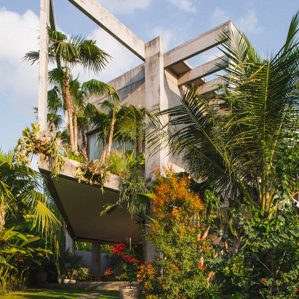 Evergreen Architecture - Overgrown Buildings & Greener Living Evergreen Architecture - Overgrown Buildings & Greener Living