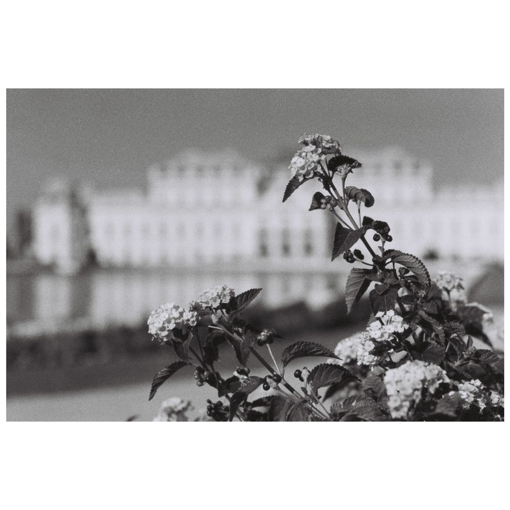 Lomo Berlin Kino B+W 35mm ISO 400