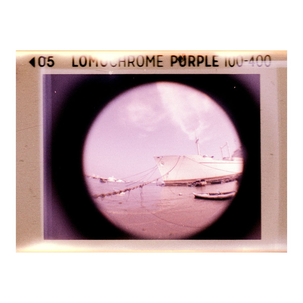 2021 Lomo Chrome Purple 110 ISO100–400