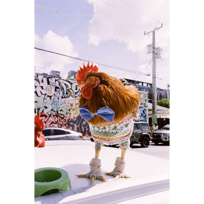 Lomo 2021 LomoChrome Metropolis 35mm ISO 100–400