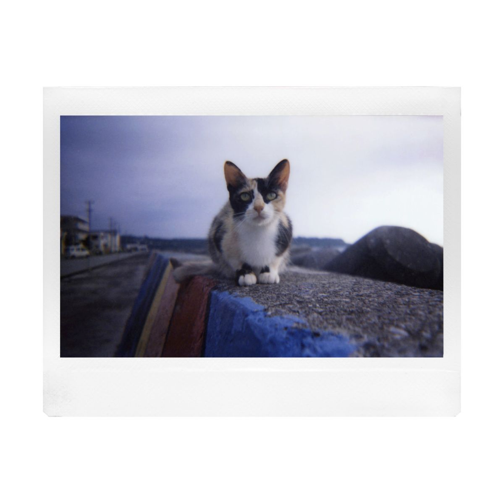 Lomo Instant Wide Glass - Central Park