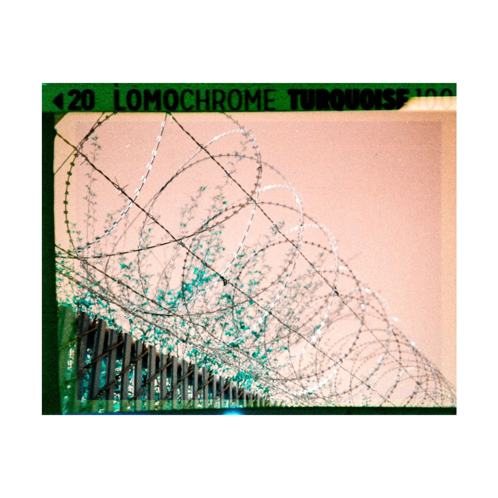 2021 Lomo Chrome Turquoise 110 ISO100–400