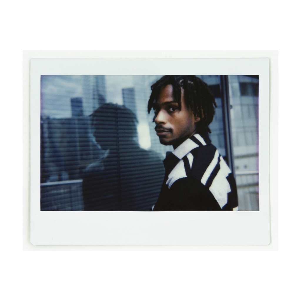 Lomo Instant Wide Glass - Central Park