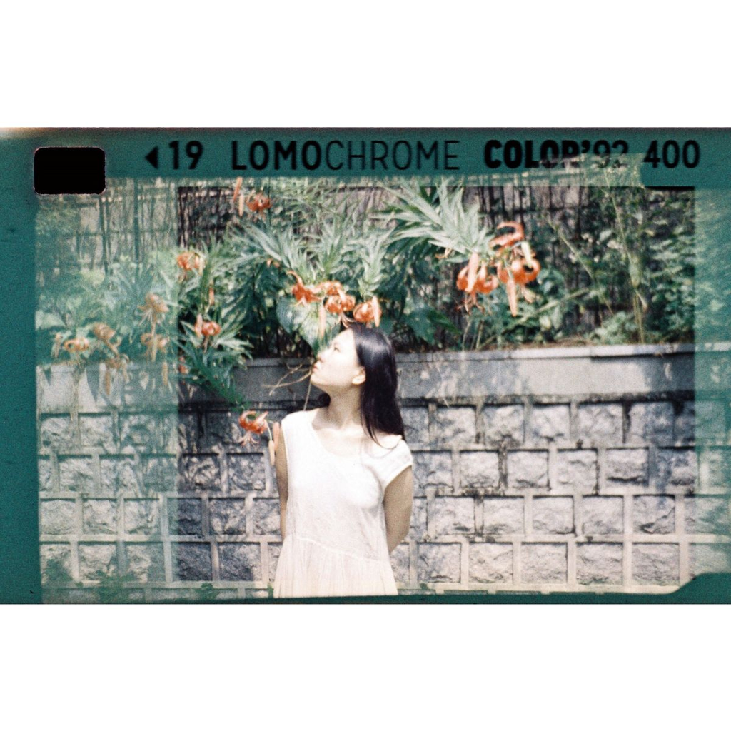 Lomo Chrome Color ’92 Sun-kissed 110 ISO400 - Pack of 3