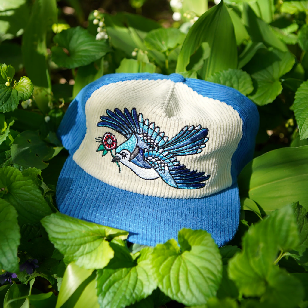Blue-Jay Two-Tone Corduroy Hat