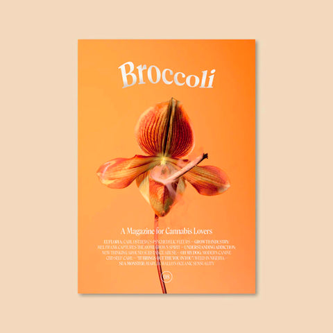 Broccoli Mag - Issue 8