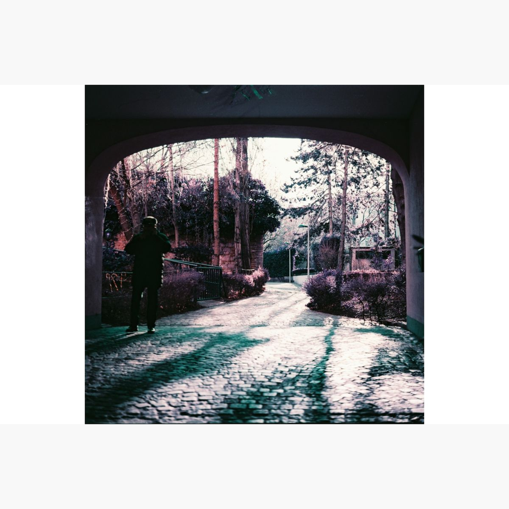 2021 LomoChrome Purple Pétillant 120 ISO100–400