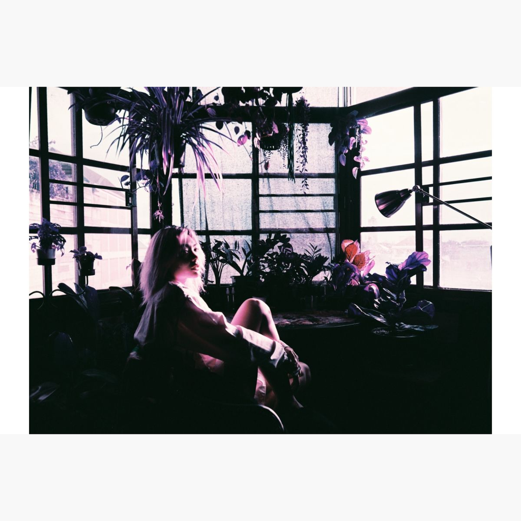 2021 LomoChrome Purple Pétillant 120 ISO100–400