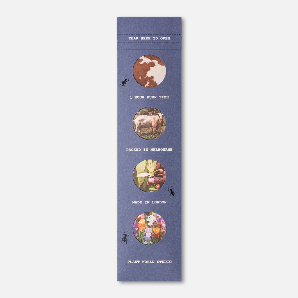 Plant World Studio - Sanctuary Incense